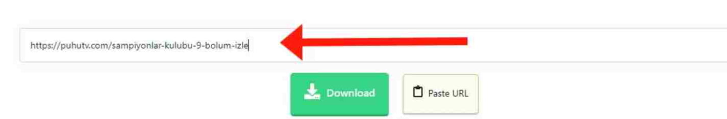 Descargador de vídeos PuhuTV