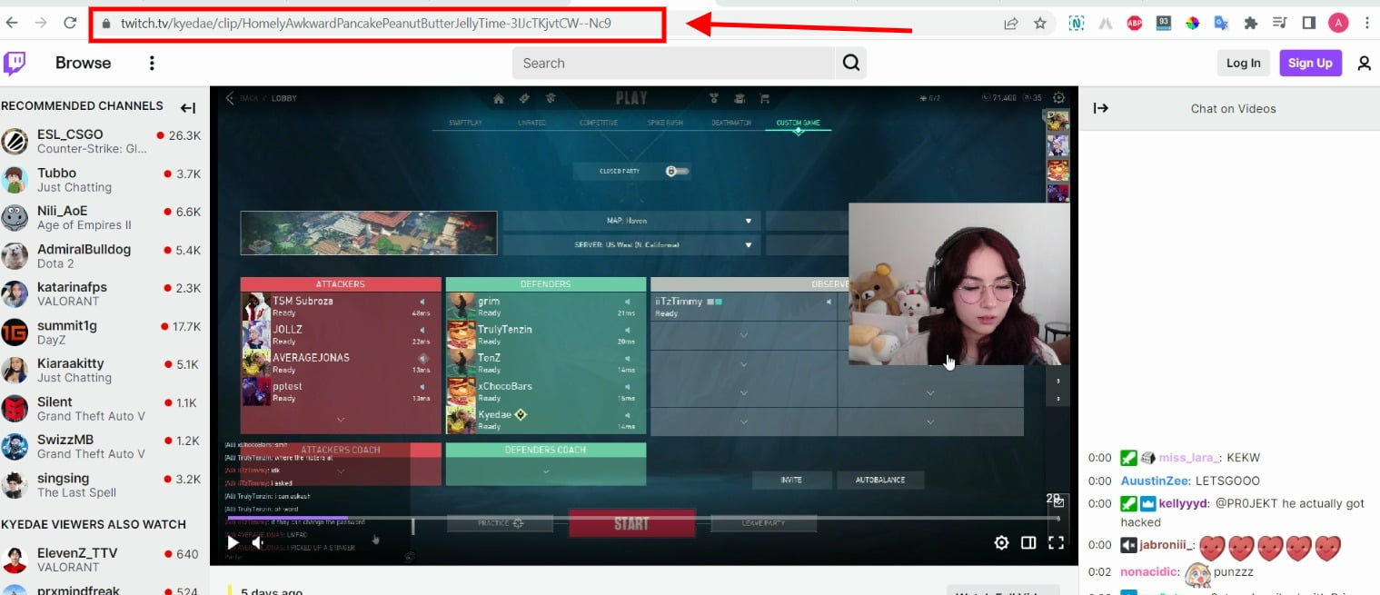 Загрузчик клипов Twitch